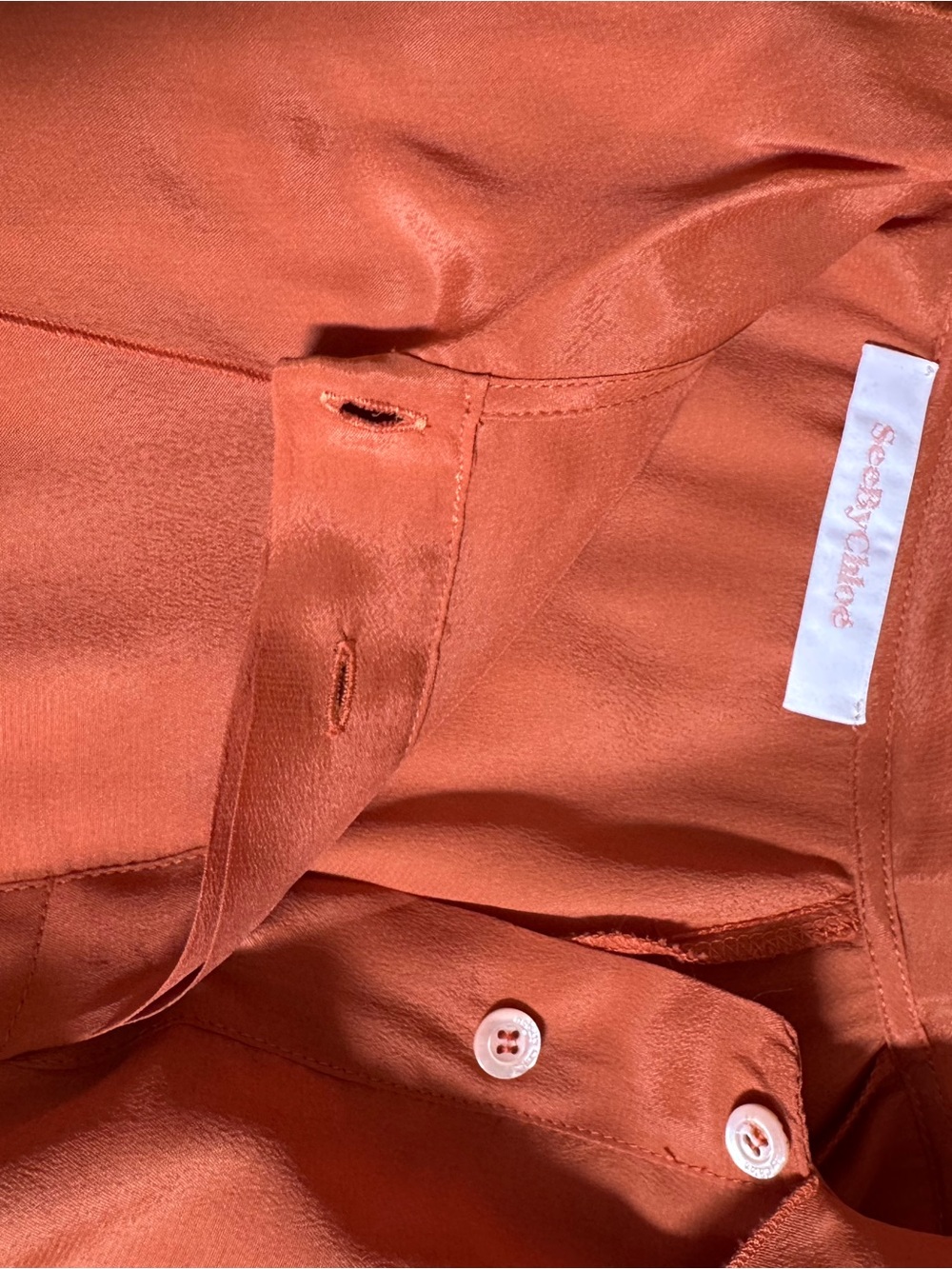 See By Chloe Rust Orange Ruffle Bow Blouse - Picture 7 of 9